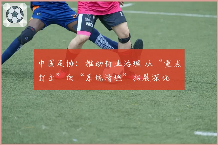中国足协：推动行业治理 从“重点打击”向“系统清理”拓展深化